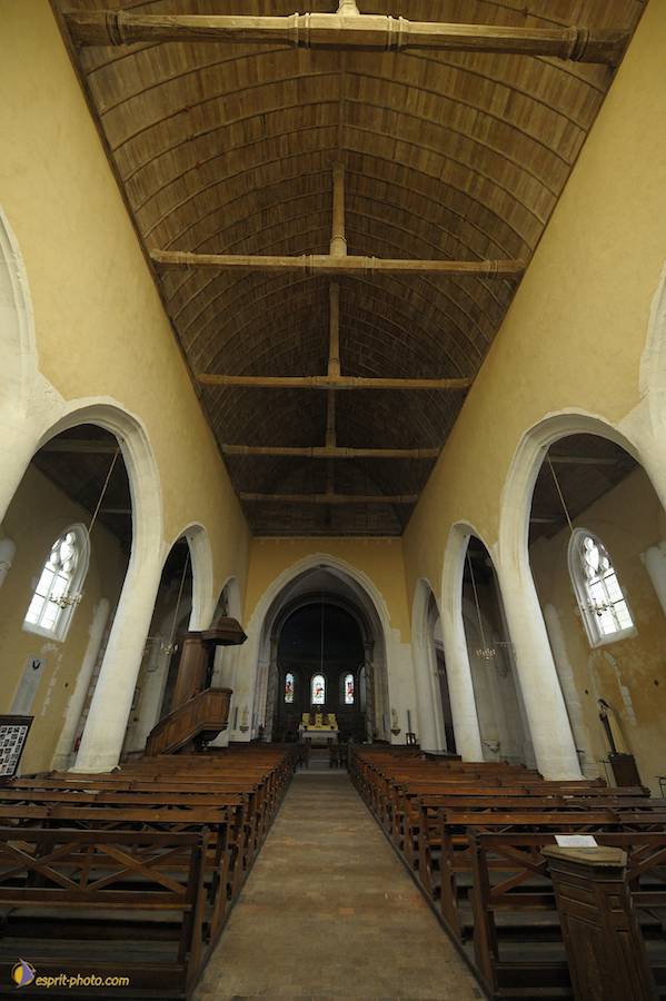 Nom de l'image : D30080476_1_(c)Norbert-JUNG — Description :